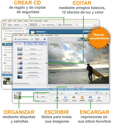 Picaza de Google