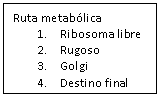 Cuadro de texto: Ruta metablica
1.	Ribosoma libre
2.	Rugoso
3.	Golgi
4.	Destino final
